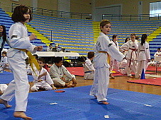 p2920267.jpg