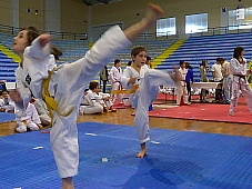 p2920278.jpg