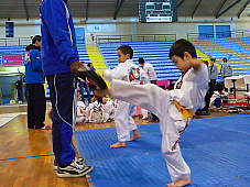 p2920373.jpg