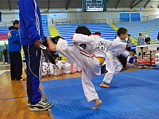 p2920381.jpg