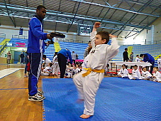 p2920405.jpg