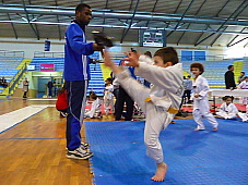 p2920419.jpg
