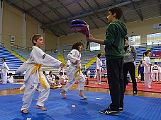 p2920492.jpg
