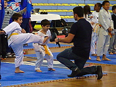 p2920752.jpg
