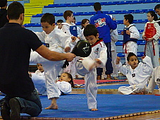 p2920776.jpg