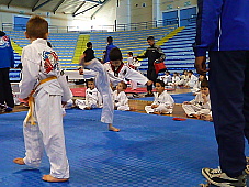 p2920878.jpg