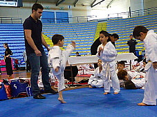 p2920975.jpg