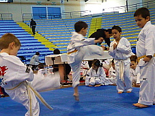 p2920999.jpg