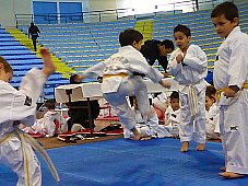 p2930001.jpg