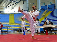 p2970162.jpg