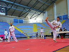 p2970569.jpg