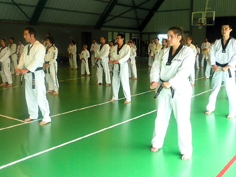 p3220232.jpg