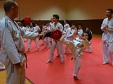 p3470290.jpg