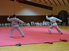 p3470518.jpg