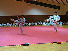 p3470554.jpg