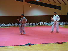 p3470568.jpg