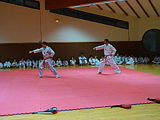 p3470583.jpg