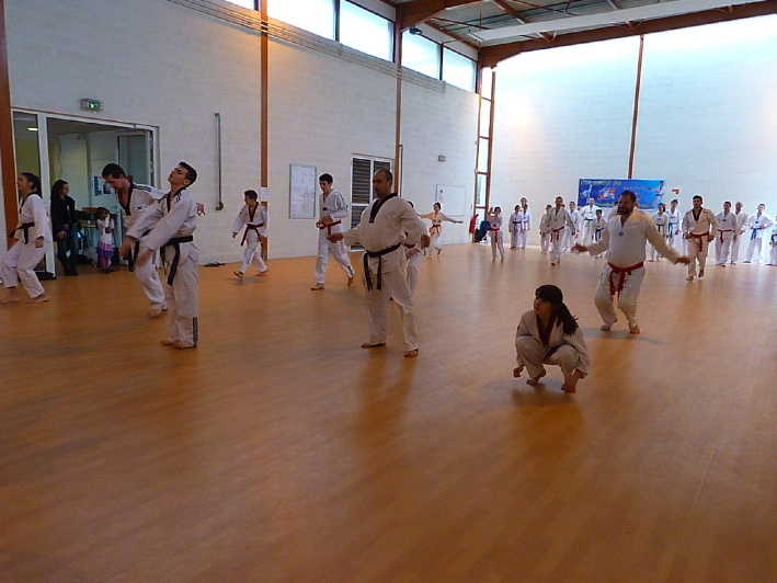 p2490362.jpg