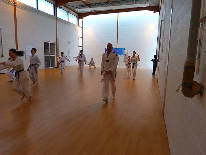 p2490397.jpg