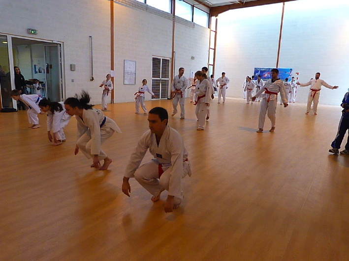 p2490441.jpg