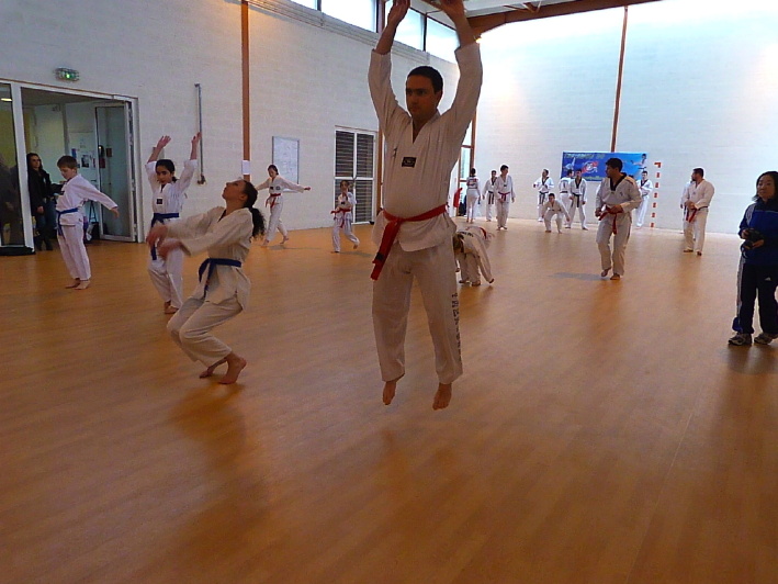 p2490446.jpg