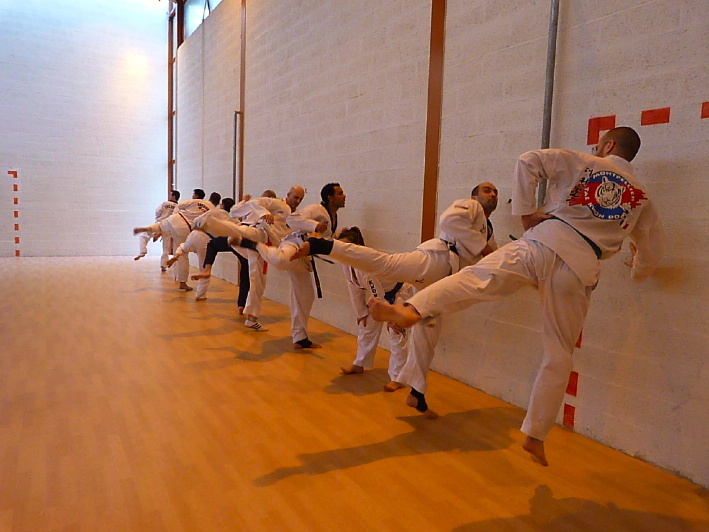 p2510988.jpg