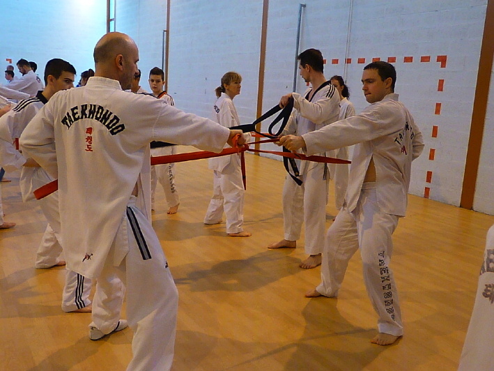 p2530262.jpg